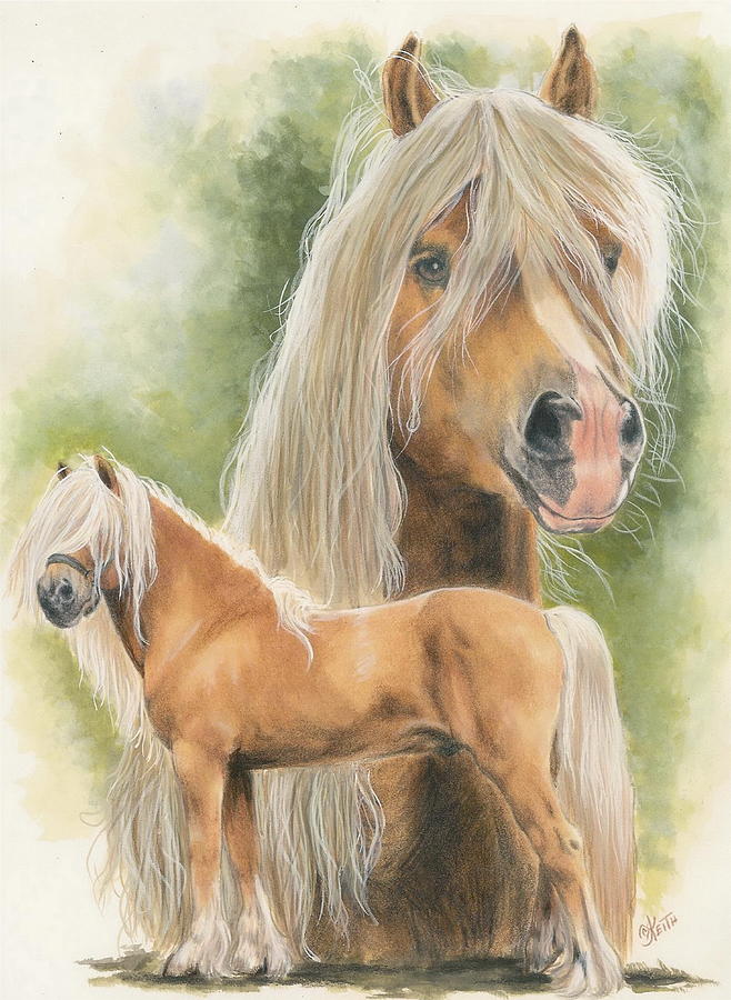 Haflinger Pony - Barbara Keith